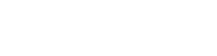 History of THEE MICHELLE GUN ELEPHANT